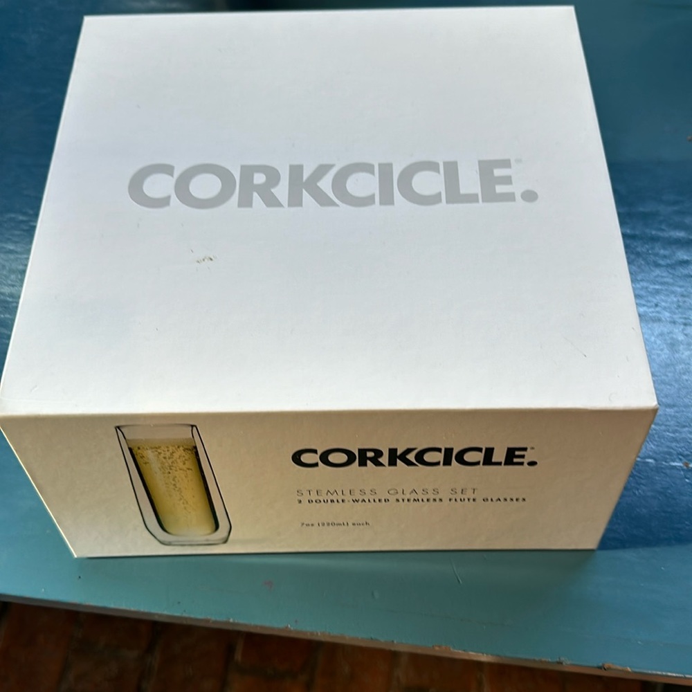 Corkcicle Stemless Double Walled Flute Glasses